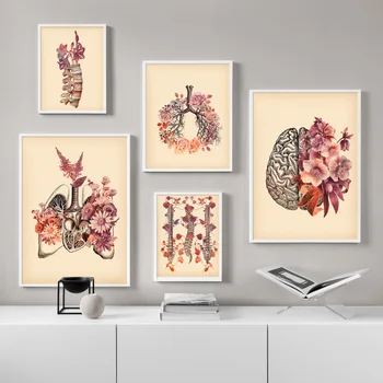 Реколта бял дроб череп гръбначния стълб човешката анатомия медицина стена изкуство платно живопис скандинавски плакати и отпечатъци стена снимки за хол
